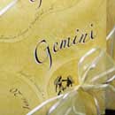 Gemini Gift Wrap