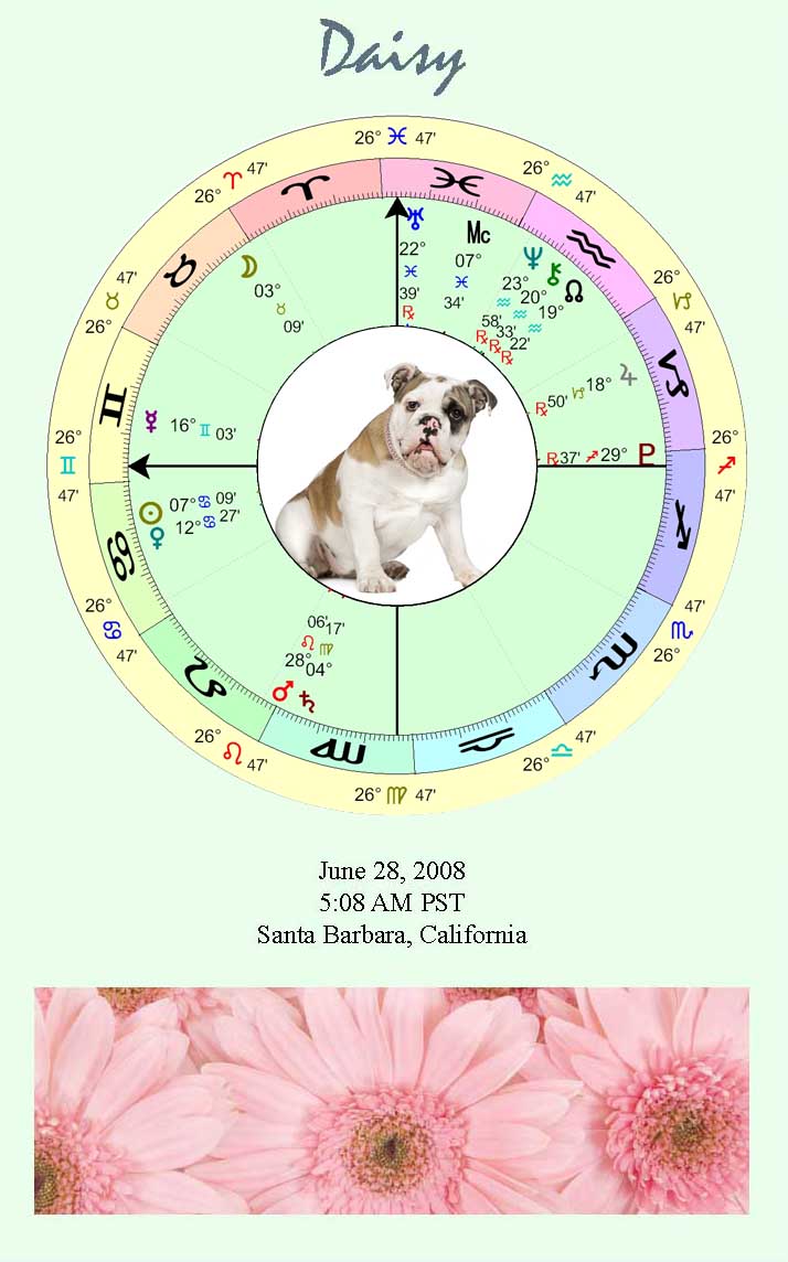 DOG ASTROLOGICAL CHART AS AN ART PRINT