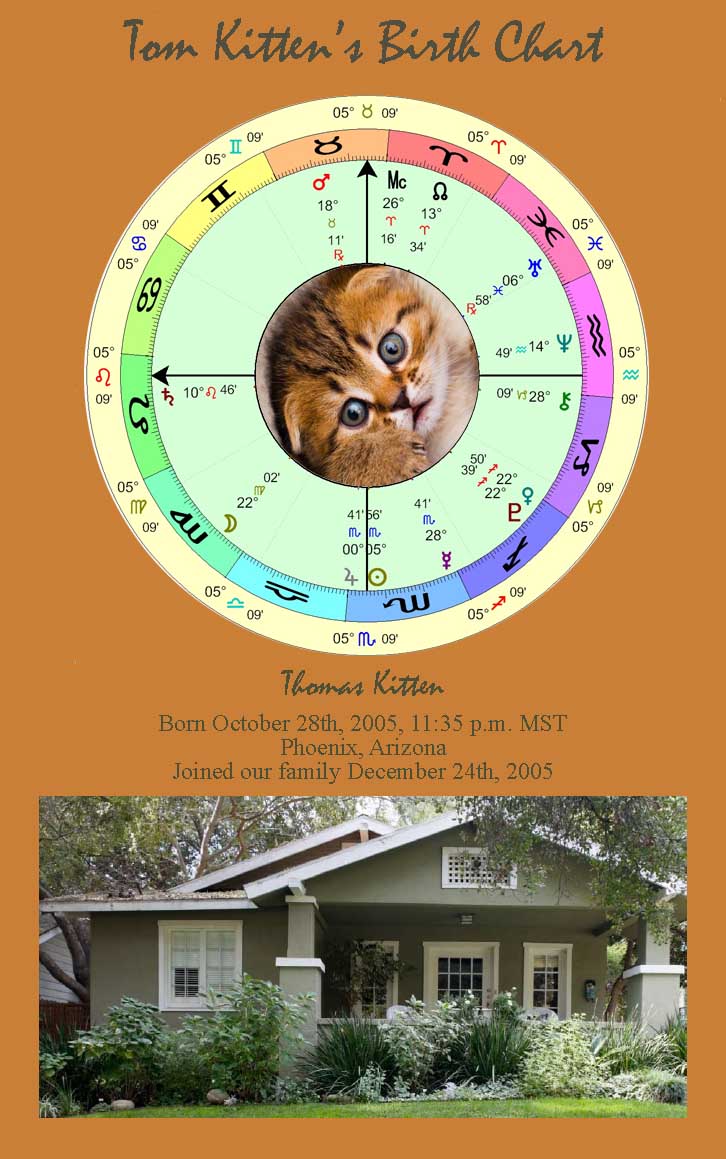 YOUR KITTEN'S ASTROLOGICAL CHART AS AN ART PRINT